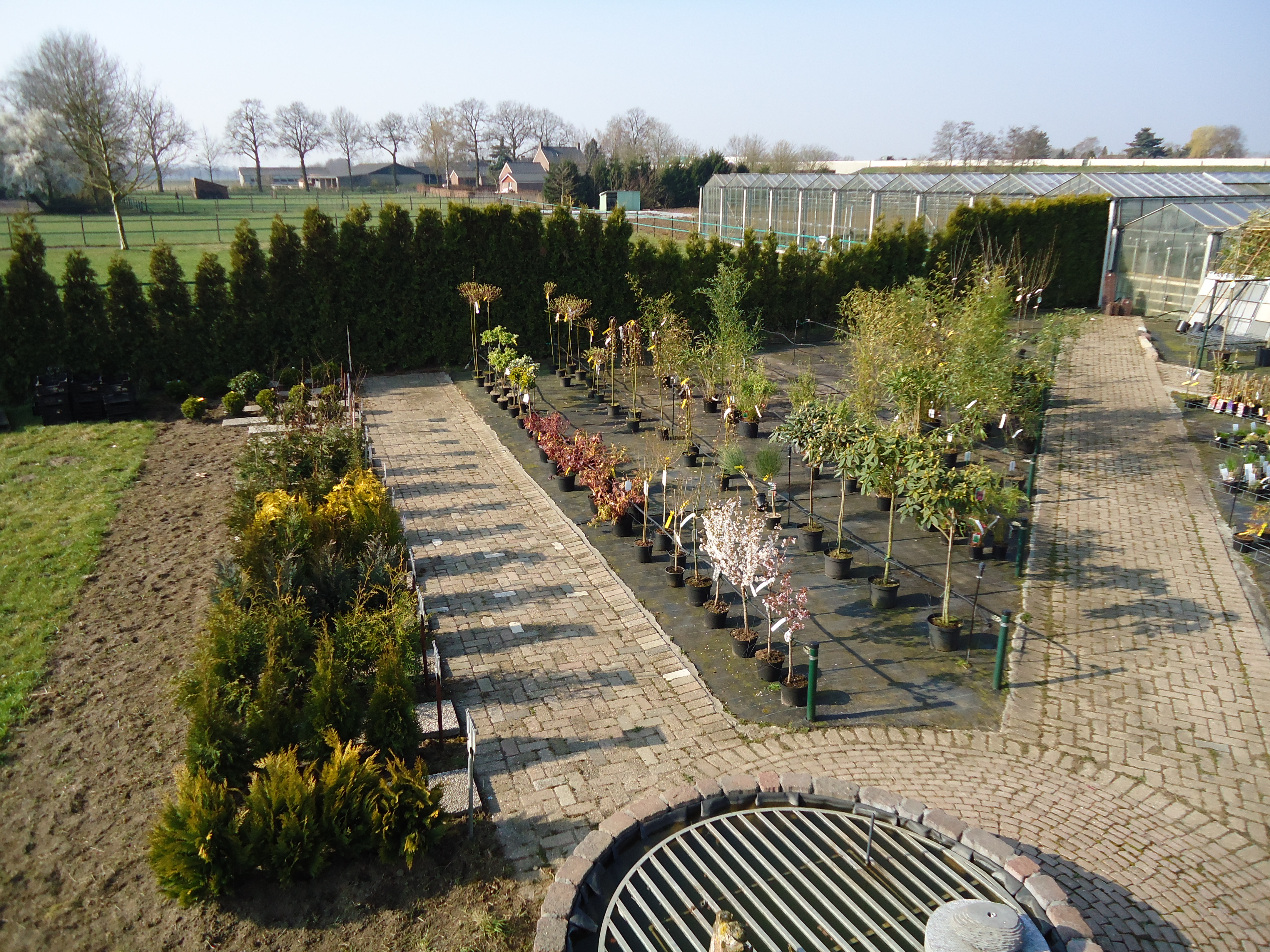 tuinplanten 1